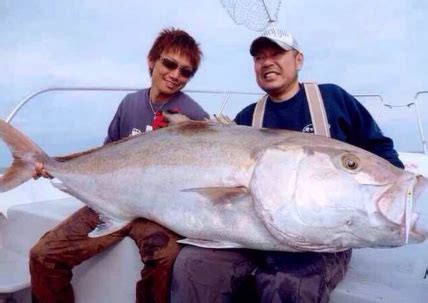 夢見釣到很多魚|夢見釣了很多魚，夢到釣了很多魚是什麽意思？